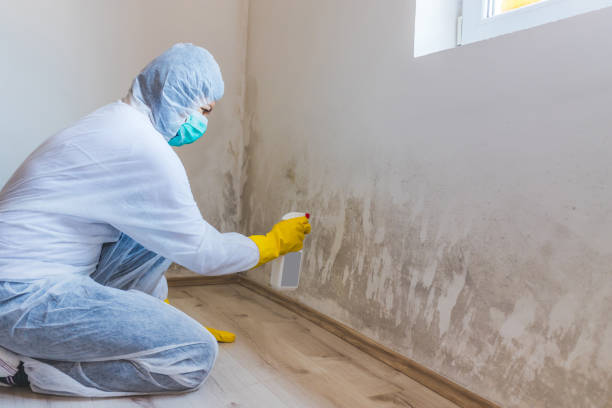 Licensed Mold Testing service in Sandy Spring, MD - WQB Mold Removal