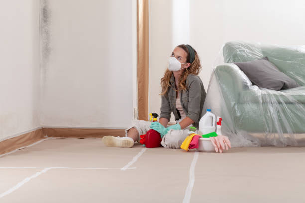 Reliable Mold Testing contractor in Sandy Spring, MD by WQB Mold Removal