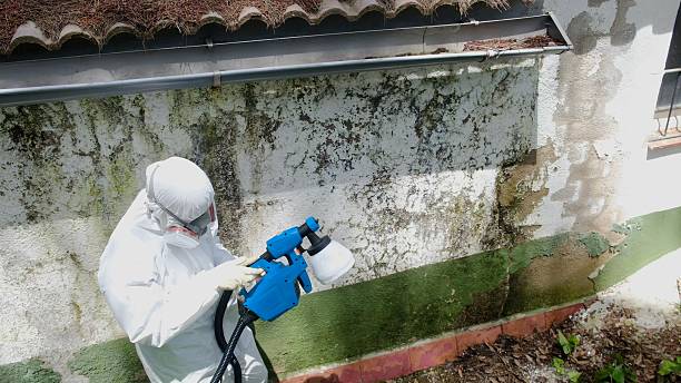 Top rated local Mold Testing specialists in Sandy Spring, MD